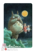 Totoro 16
